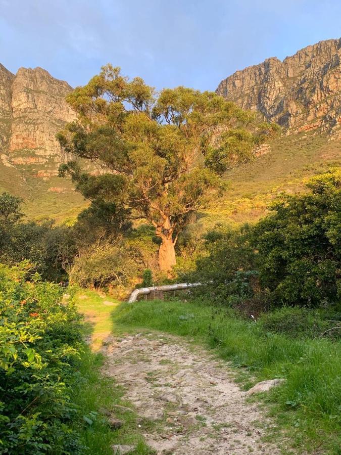 Mountain And Ocean Apartment Cape Town Bagian luar foto